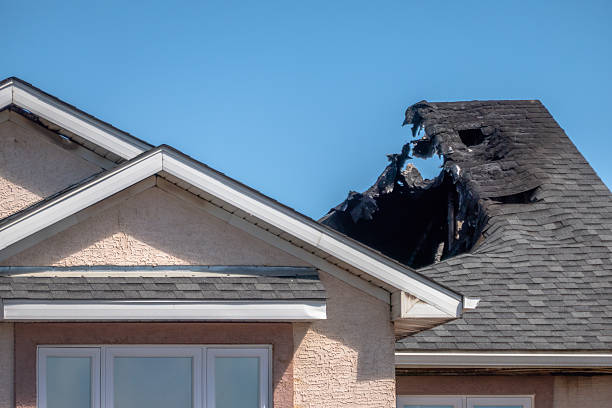 Top rated local Board Up Services specialists in Isanti, MN